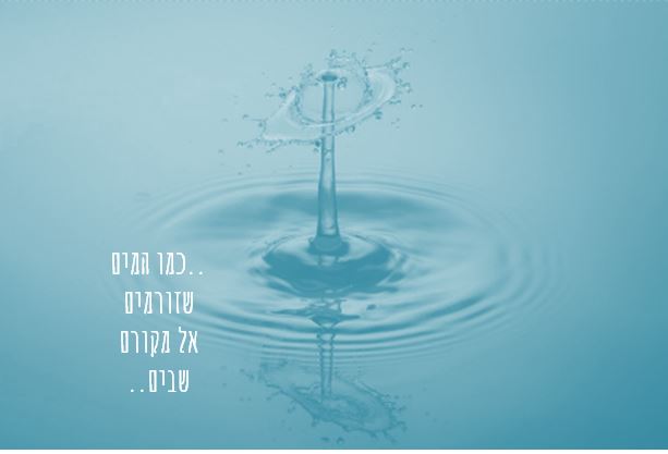 חדש השנה! אלול בוגרות